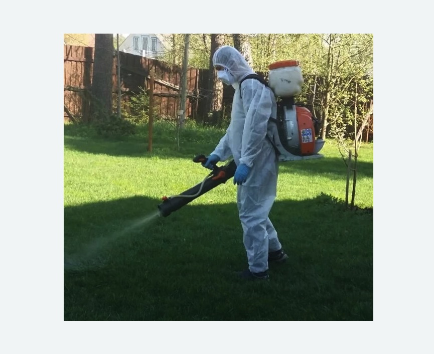 Обработка территории от клещей в Колпино