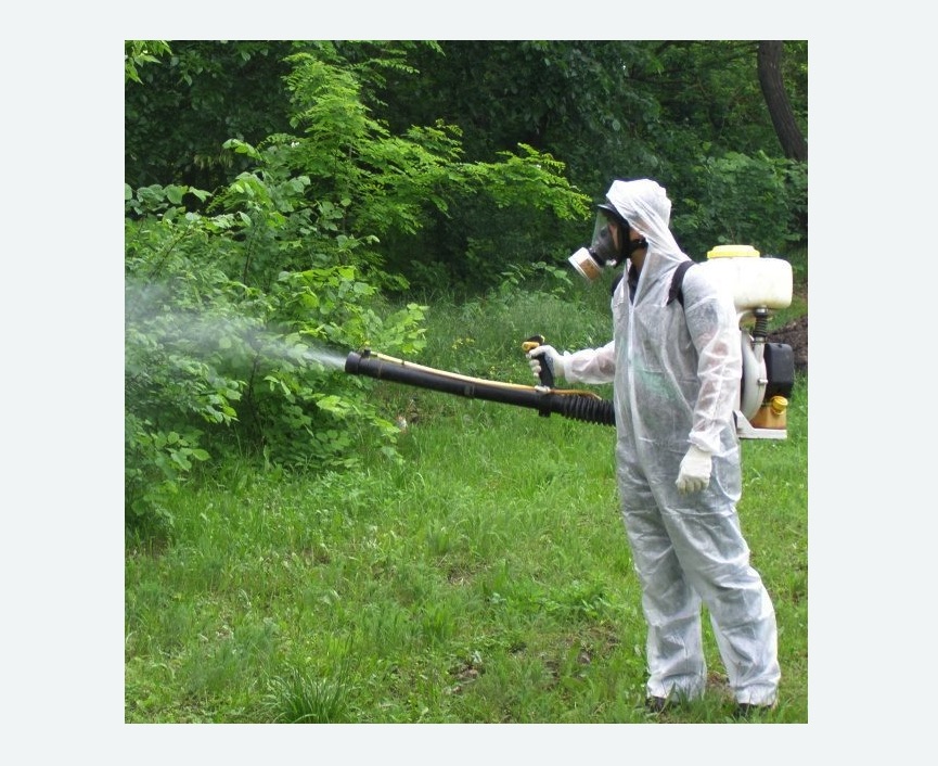 обработка территории от клещей в Колпино