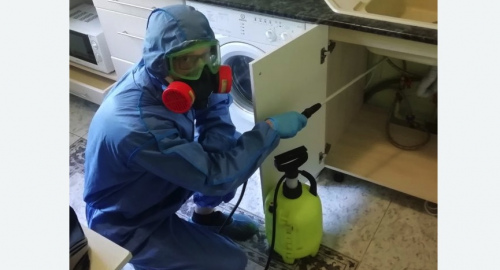 Уничтожение муравьев в квартире. Колпино