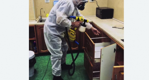 Уничтожение насекомых в квартире. Колпино