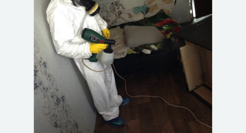 Обработка квартир от насекомых в Колпино