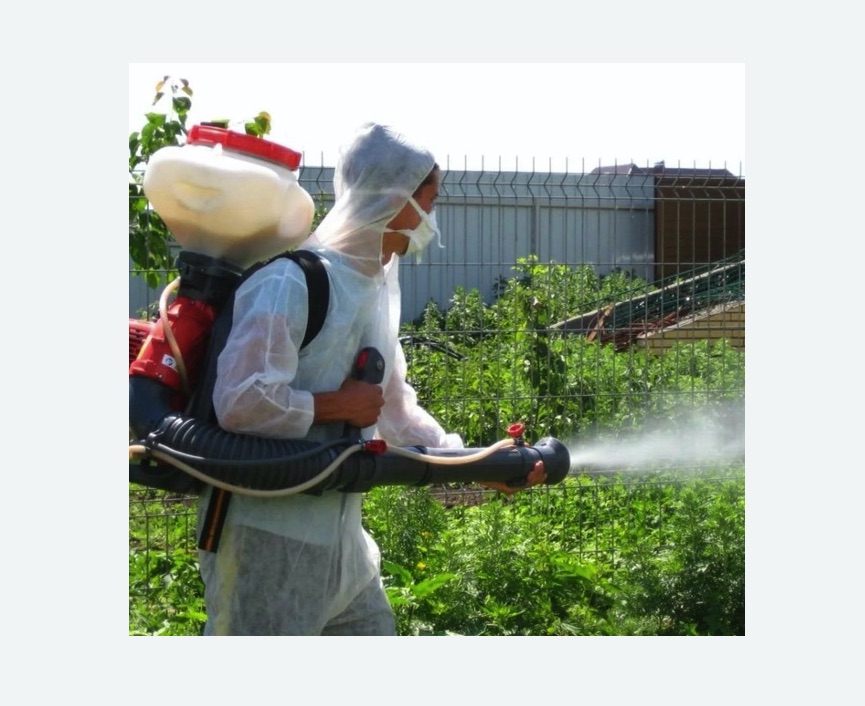 Акарицидная обработка территории в Колпино