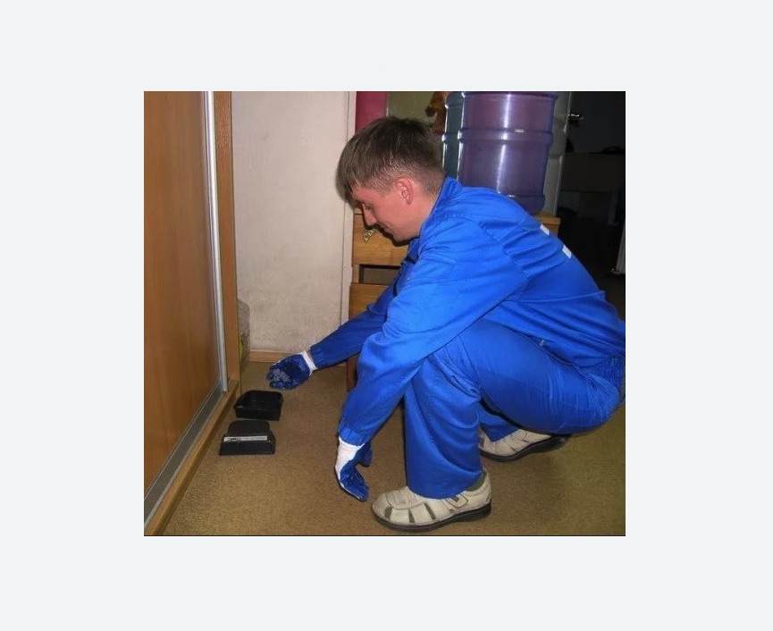 Дератизация крыс в Колпино