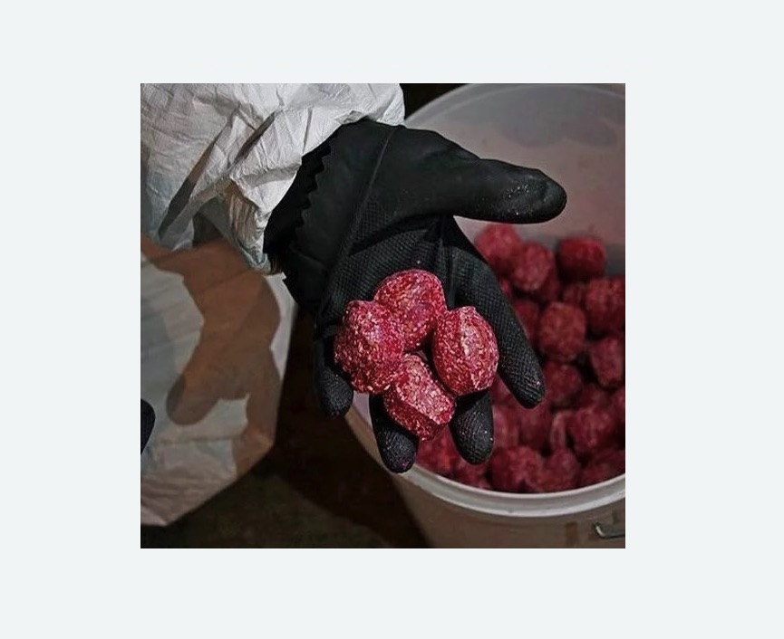 Обработка от крыс в Колпино