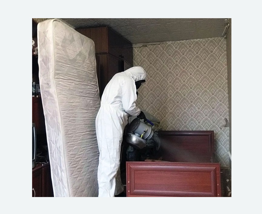 дезинфекция от клопов в Колпино