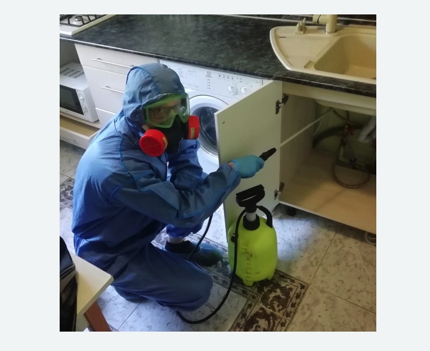 обработка от муравьев в квартире в Колпино