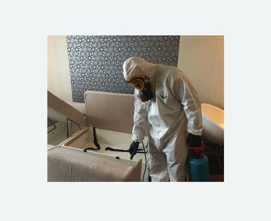 уничтожение клопов в квартире в Колпино