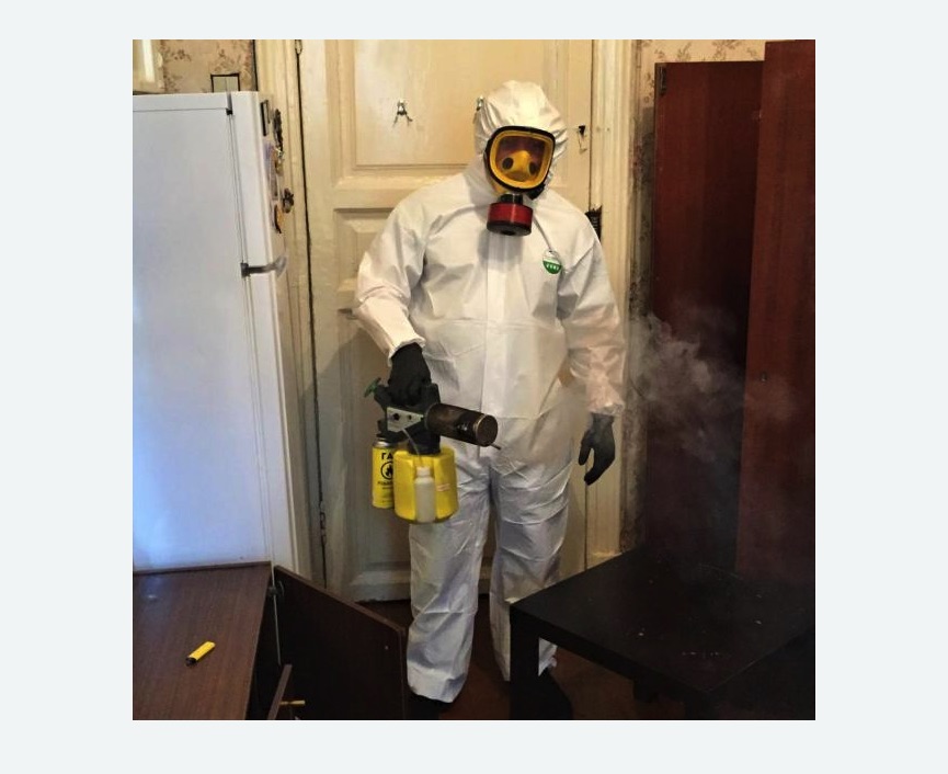 уничтожение муравьев в квартире в Колпино